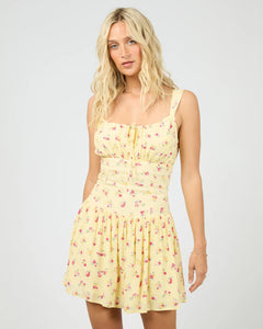 Birdie Mini Dress