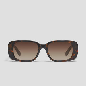 Karma - Neutral Tort Frame / Brown Lens