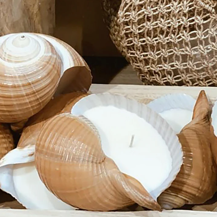Hunter Gatherer / Seashell Soy Wax Candle / Tonna Shell – Bohemian Sundays