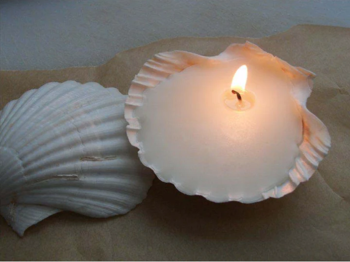 Hunter Gatherer / Seashell Soy Wax Candle / Scallop / Kakadu Plum