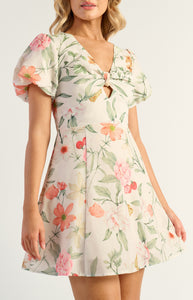 Botanica Mini Dress
