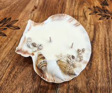 Load image into Gallery viewer, Hunter Gatherer / Seashell Soy Wax Candle / Scallop XL /Coconut &amp; Vanilla
